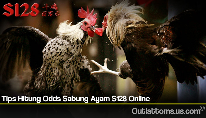 Tips Hitung Odds Sabung Ayam S128 Online